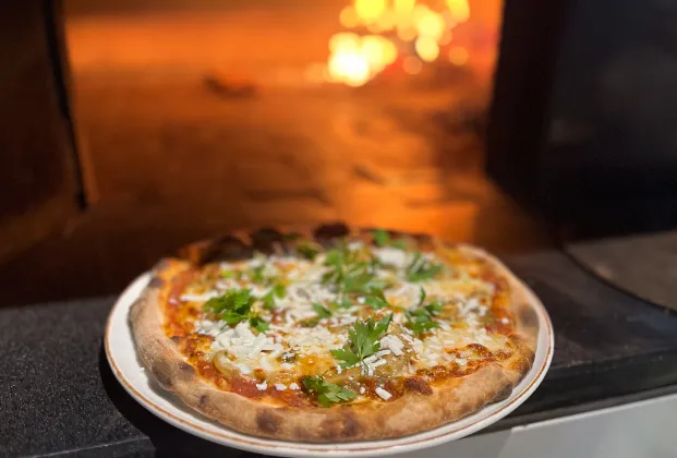 Charred Eggplant and White Cheese Pizza