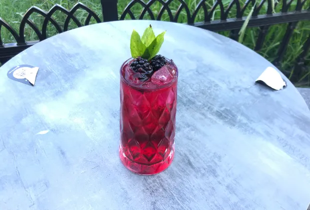 Cranberry Hibiscus