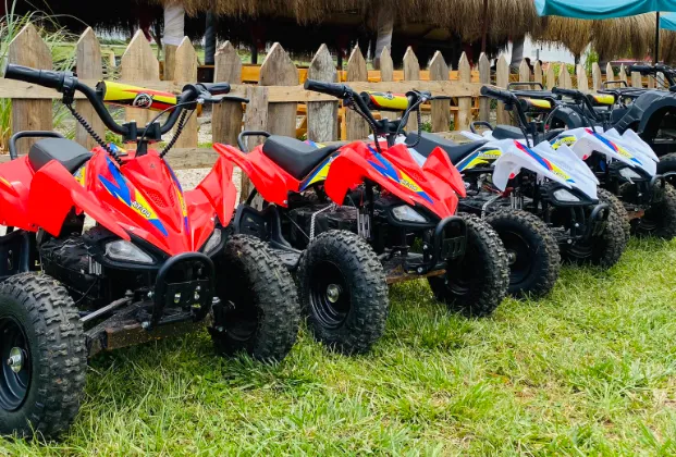 Children's ATV Safari