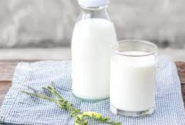 Milk
