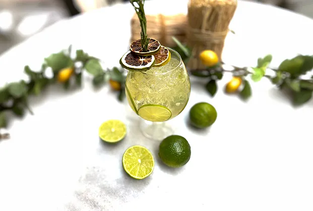 Cool Fresh Lime