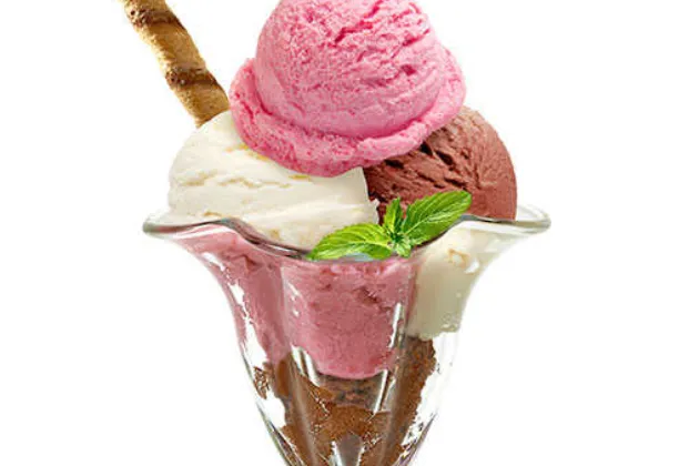 Small Portion (2 Scoops)