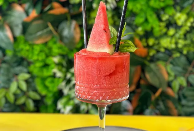 Watermelon Frozen