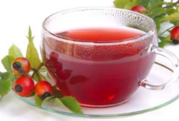 Rosehip tea