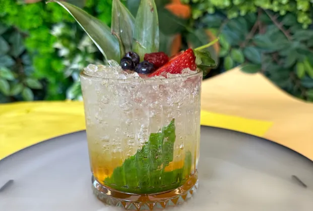 Satsuma Drink