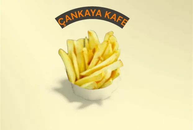 9×18 Takeaway Cone Fries