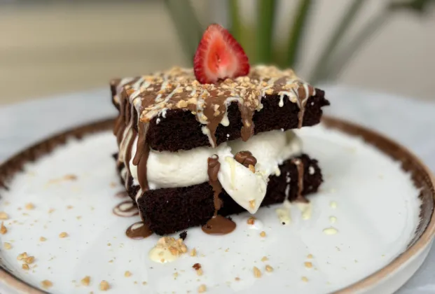 Chocolate cake with ice cream
