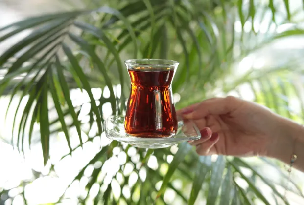 Tea