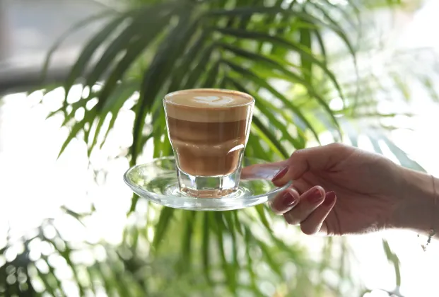 Cortado