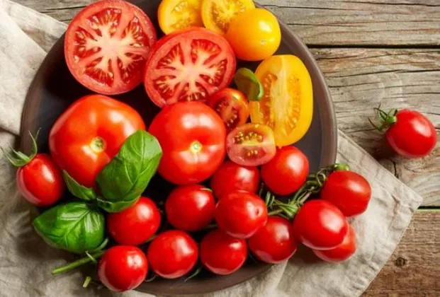 Tomato