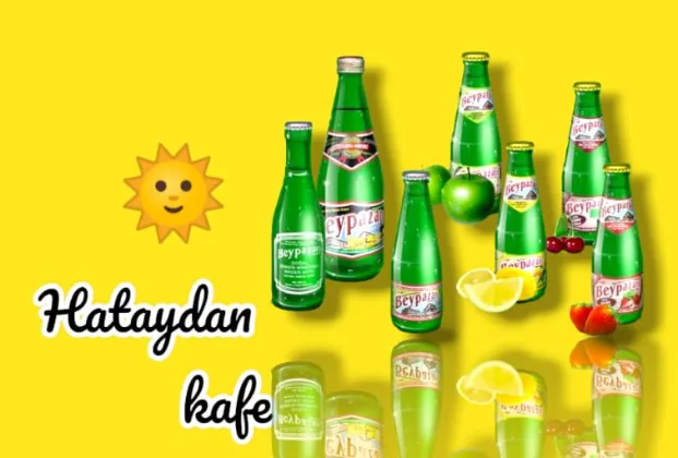 Fruit soda (apple or lemon)