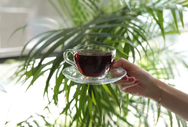 Tea Cup