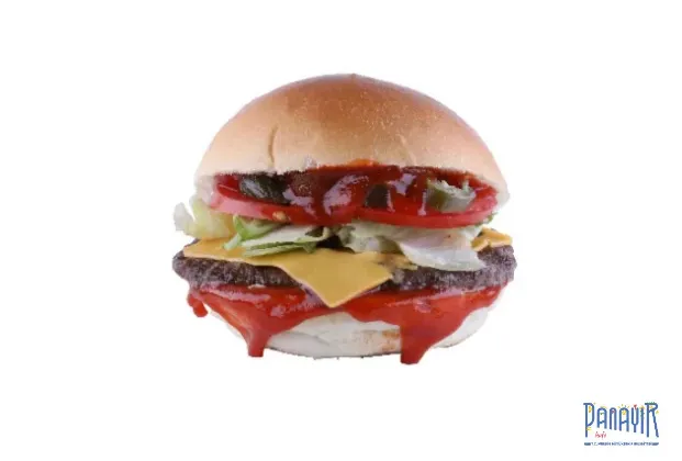 Mexican Burger