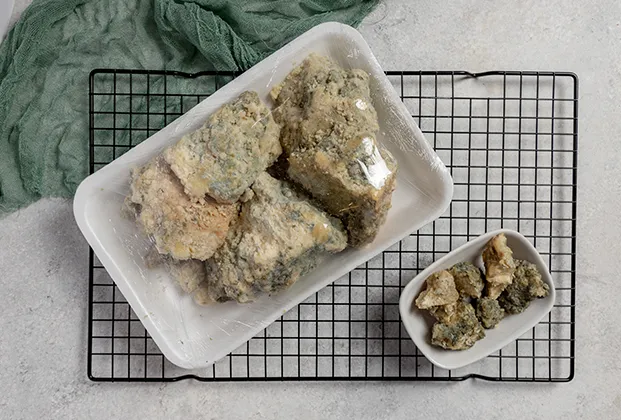 Moldy Cheese