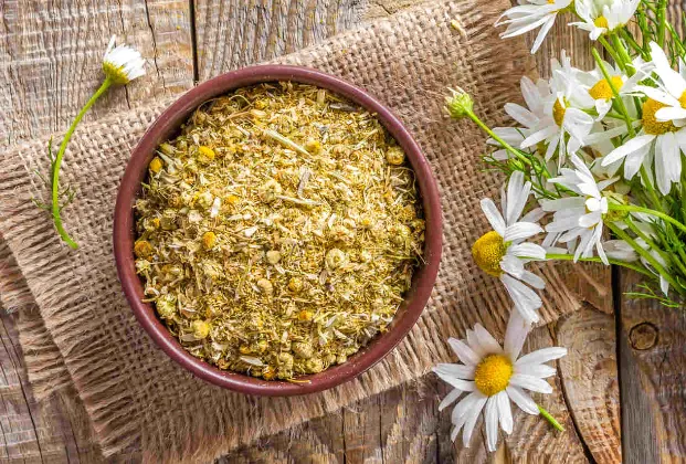Chamomile tea
