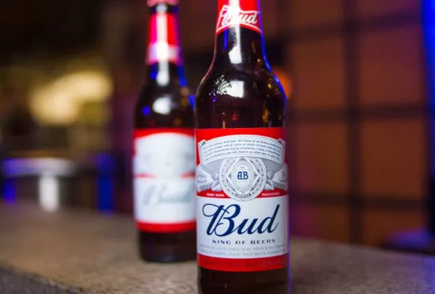 Bud Beer 33Cl