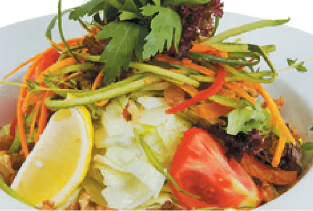 Anatolian Salad