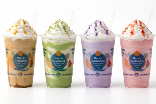 Milkshake varieties