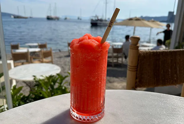Watermelon Frozen