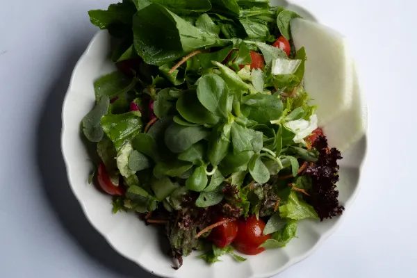 Garden Salad