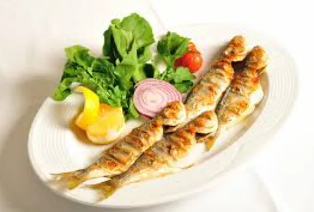 Çinekop (bluefish)