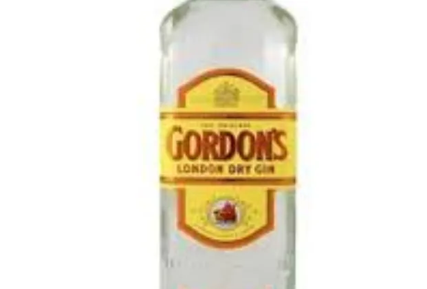 Gin
