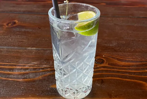 Gin and tonic