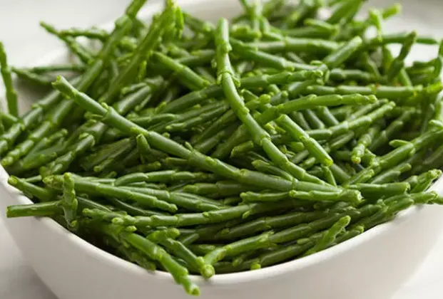 Turkish sea beans