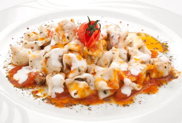 Homemade Mantı