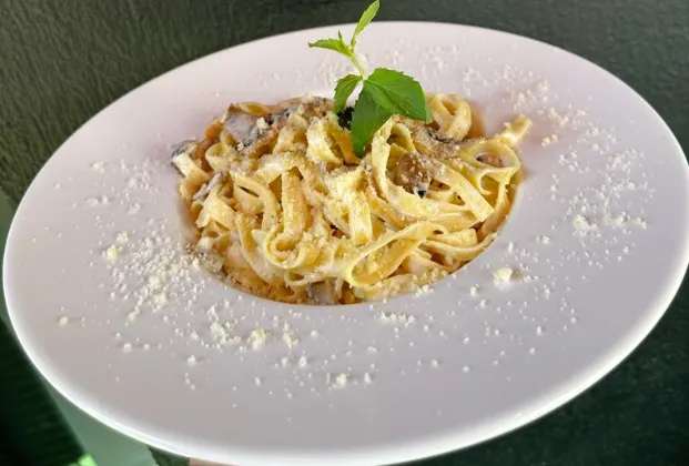 Creamy Mushroom