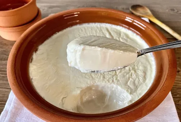 Yogurt