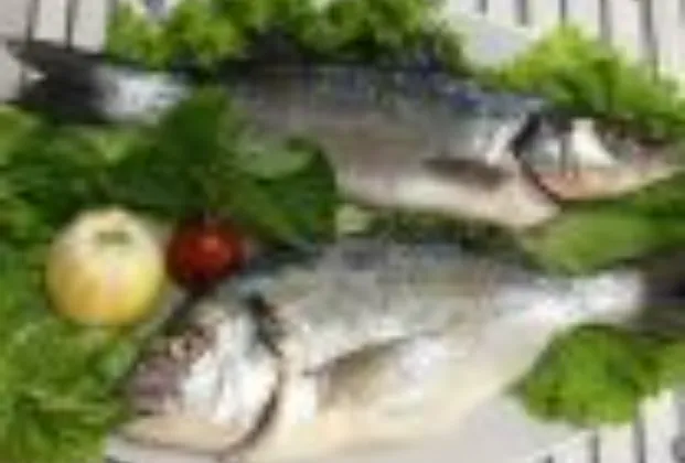 Sea bass