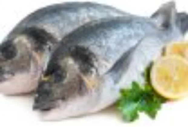 Sea bream