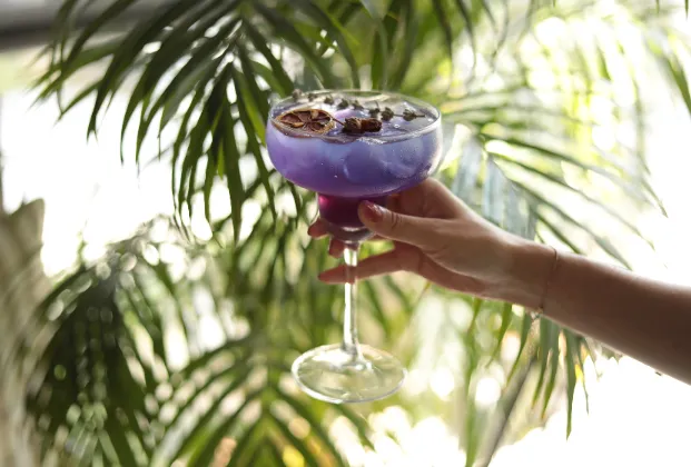 Purple Dayz Cocktail