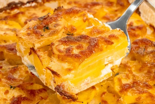 Potato gratin