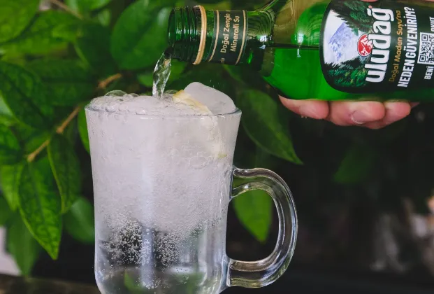 Uludağ Plain Sparkling Mineral Water