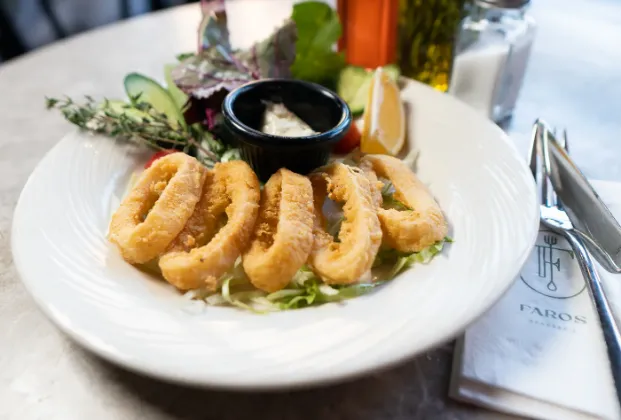 Fried Calamari