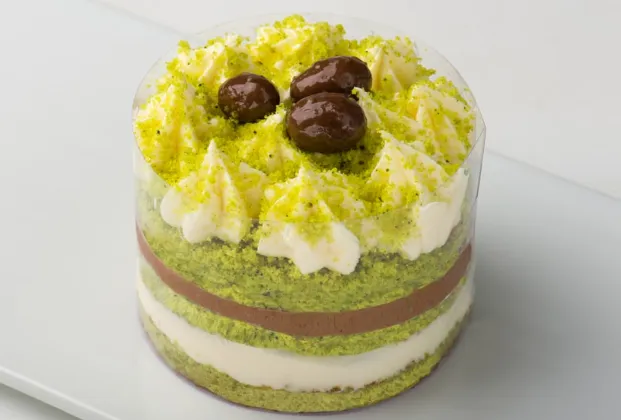 Pistachio Velvet Mono