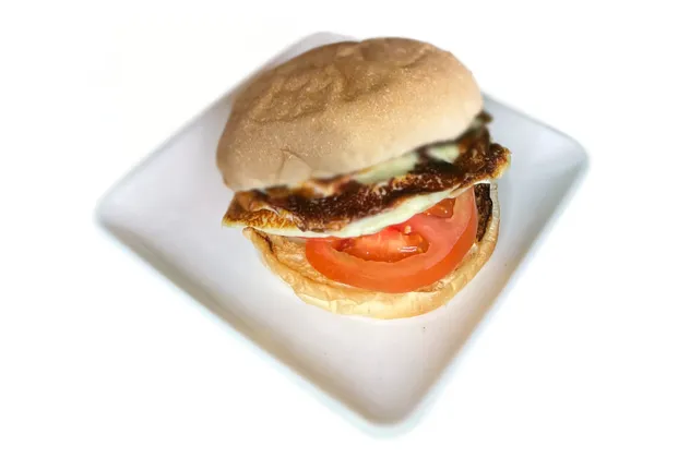 Kaşar Sandwich