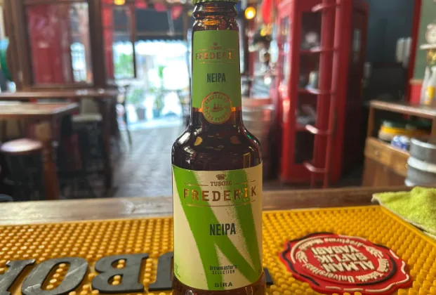 Frederik NEIPA