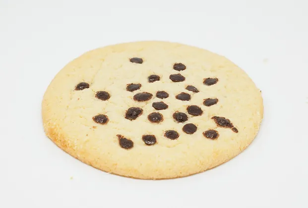 Chocolate chip cookie