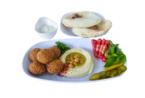 FALAFEL Plate