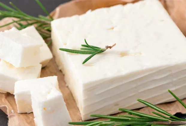 Ezine cheese