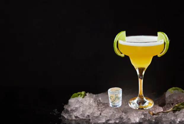 Dublin's Star Martini
