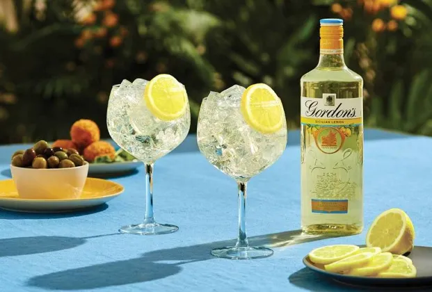 GORDON’S LEMON