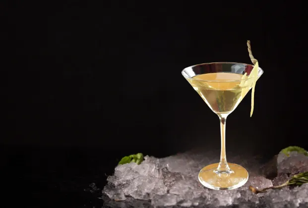 Vodka Martini