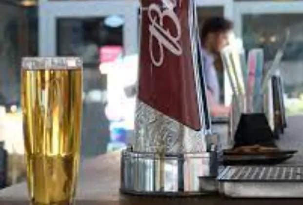 Bud draft beer