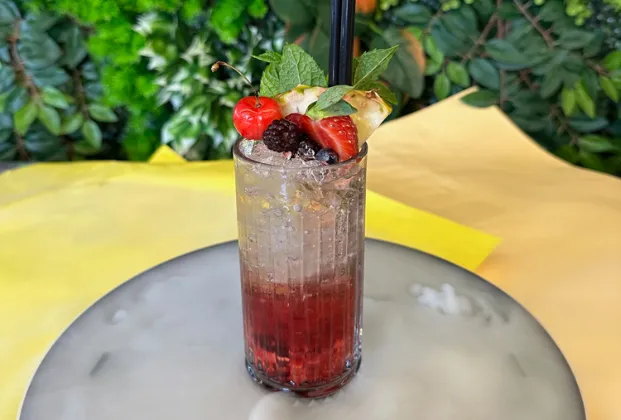 Forest fruit mojito