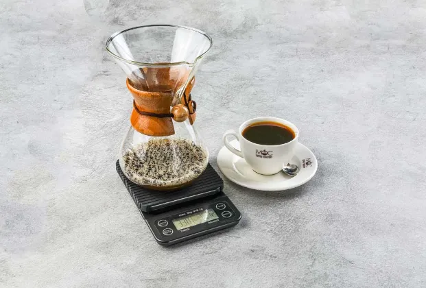 Chemex (Single)