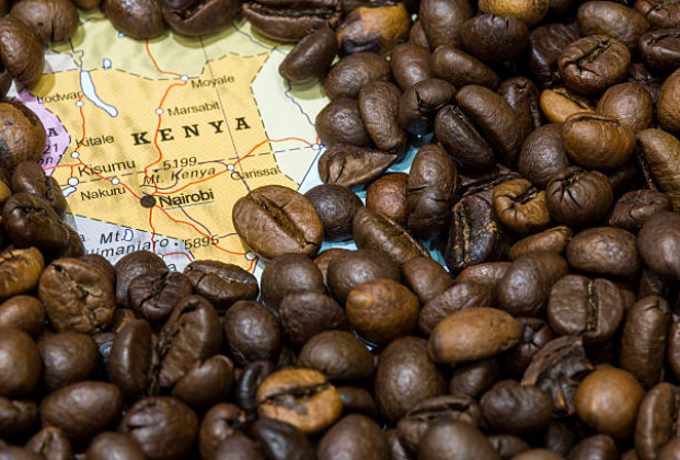 Kenya AA